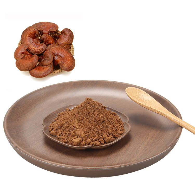Mushroom Powder Natural Reishi Lions Mane Cordyceps Chaga Maitake Reishi Mushroom Ganoderma Lucidum Extract 40% Polysaccharides